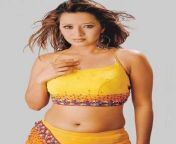 49ba1f97b86ff009118afcc341cc1d04.jpg from reema sen hot beautiful actress tamil telugu tamil hindi stills 17 jpg