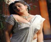114914d35de90d5fa4beb99690acaad4.jpg from tamil actress aarthi agarwal saree sexy scenes