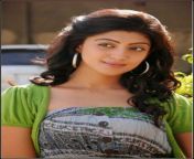 5c695812975133c98eeaa8bc6af26647.jpg from tamil actress pranitha