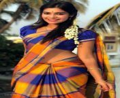 7fbfc9669a802d3b0e2206d5c9891493.jpg from tamil actress tv so