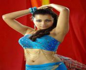 72b2bd9634f5305347065f35a67d2617.jpg from tamil actress thrisha sex pot