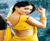 6f20f7c7c5462ccab57fb9b369dee383.jpg from pin tamil actress saree sex bhabi