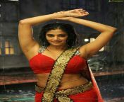 3e4c35e15ab9729a6f6815c5ed783cef.jpg from telugu actress secs removing saree xxx hot videos