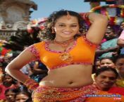 b5ee15dc4db2dc764c92c2621800f59b.jpg from tamil actress suja varuni hot boobs scene