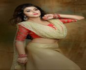 b7613b780f7e362da1e91d8428e26002.jpg from poorna in saree hot stills actress wearing green sexy photos jpg