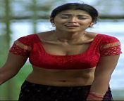 bc89cb883cca1b7e127d64ad674b14b8.jpg from tamil actress sexy nirvana photos xxx aswarajal xvideo hot
