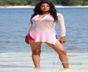 b03670b0cd0454447b22f5193e9bcc6e.jpg from priymani hot photos south iindian actresses navel show jpg