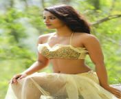 ccc56c62ae60440ee10df4396de7be16.jpg from kannada actress blouse and bra opening