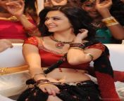 ada46e6c3d8d59117bb876a925169792.jpg from tamil actress shalinriti kharbanda hot sex