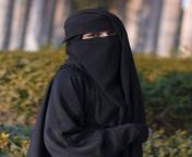 aece0033919568a65f55d90e58346476.jpg from arab hijab niqab live video tango adar