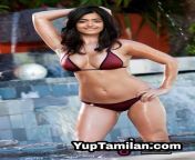 0063fb5fb9cb2bf2323ffa2dfed63aa4.jpg from south indian actres xxx comll images hot hd sex