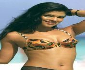 d333zetwqcpa1.jpg from actress priyanka nude ray fakes images