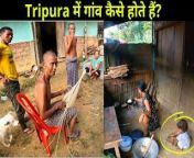 mqdefault.jpg from tripura tribel village videos