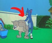 maxresdefault.jpg from cartoon sex tom and jerry jeklin sex video picture