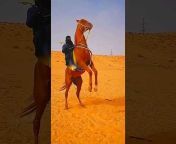 hqdefault.jpg from muslim riding العيون بنات سكسarab المحتلة cowgirl in hijab arabic while arabic muslim riding cowgirl while in hijab