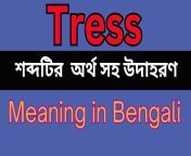 maxresdefault.jpg from bengali tv tress