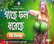 mqdefault.jpg from bangla song gache fol dhorecheakak isap batang adik 3gpn
