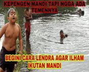 maxresdefault.jpg from video cocok ikutan mandi ke sungai itu juga sungai di indonesia