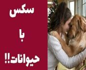 mqdefault.jpg from سکس با حیوانات سکس زن با
