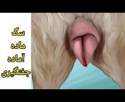 sddefault.jpg from سکسی و حیوانات جفتگیری زن با حیوان