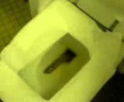 hqdefault.jpg from shit toilet 3gp videos