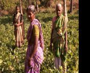 maxresdefault.jpg from tamil video size does village school force