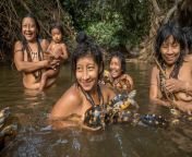threatened amazon posto awa villagers morning bath tortoises jpgw1084 125h721 875 from adivasi tribal bathing and dress change outdoor pg