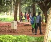 big 468740 1506541046.jpg from banglore public parks romancing videos lal bagh romance videos