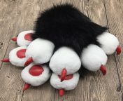 il 570xn 2155150155 asov.jpg from fursuit paws