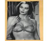 il 300x300 3839530173 rvny.jpg from lily munster nude