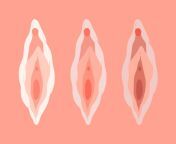 12125 25 vagina and vulva facts body2 1296x728 jpgw1155h1528 from pussy sex panic