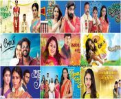 vijay tv serials jpgw1480ssl1 from vijaytv serial act
