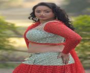 bhojpuri actress rani chatterjee jpgfit638960 from bhojpuri actress rani chatterjee big boobs