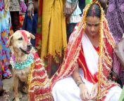 wanita india 8 jpgfit28651910ssl1 from perkawinan manusia dan hewan