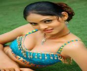 1435383768 deepacharishotimages moviezzworld.jpg from indian is so sexy