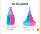 age and sex structure of uttar pradesh kerala a comparative study 20 320 jpgcb1687975203 from 15 age sex kerala vi