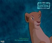 lion king nala desktop background full hd kovu oat 34413235 1920 1080.jpg from view full screen nala mp4