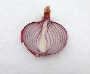 nude onion by edfirmagejr d9tq3ky pre jpgtokeneyj0exaioijkv1qilcjhbgcioijiuzi1nij9 eyjzdwiioij1cm46yxbwojdlmgqxodg5odiynjqznznhnwywzdqxnwvhmgqynmuwiiwiaxnzijoidxjuomfwcdo3ztbkmtg4otgymjy0mzczytvmmgq0mtvlytbkmjzlmcisim9iaii6w1t7imhlawdodci6ijw9odewiiwicgf0aci6ilwvzlwvmzrjztg3mtitzmmxnc00zmqwlwe1zdutogjintq3mtdmmjmyxc9koxrxm2t5ltljnjrhyjjilwe4odatndywmc04yzlkltjjzmuwzdixzmq4zs5wbmcilcj3awr0aci6ijw9mta4mcj9xv0simf1zci6wyj1cm46c2vydmljztppbwfnzs5vcgvyyxrpb25zil19 vuw0yut sjzzzhlxxetyij603in6drnail0jnhc2ogo from nude onion picture