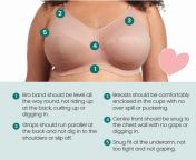 img040825.jpg from how to fit a bra 124 measuring bra size 124 mrbra com lingerie guide