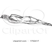 1752417 nude female human figure model posing reclining supine pose or lying down doodle art continuous line drawing.jpg from nude women namaskar pose photo