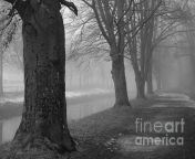 foggy day randi grace nilsberg.jpg from randi fog