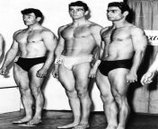 connery competed in the 1953 mr universe after winning mr scotland 1.jpg from sean connery naked sowing penis