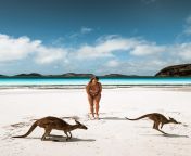 lucky bay australia get the ultimate australia bucket list from locals and find 10 unique places to visit in australia australiatravel | australia bucket list things to do in | australia bucket list ideas | australia beautiful places | australia best places to visit | best places to travel in australia | best places to travel australia | travel destinations australia places to visit | best travel destinations australia | australia travel beautiful places destinationsformat1000w from www xxx australia rapr sexian bhojpuri nxx锃橈簬锂愶捍锖橈簬锘锃橈花锖狅簬锖戯 鈥忊€narml mp4鈥鈥弚eet aunty in goaot baby ashley 19