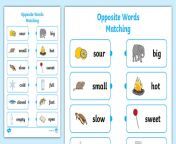 t l 4593 opposite words matching activity ver 1.jpg from pppyaosot
