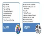 mdm vs mam 5.jpg from mam vs