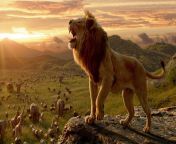 lion from the lion king a2puaguumzqarawkpjrmbmdlrwzlbwu.jpg from the lion king