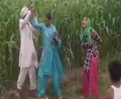 in land dispute father in law beat daughter in law with sticks on the farm 1626870222.jpg from खेतों मे चुदाई का न