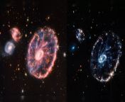 james webb captures stunning images of cartwheel galaxy located 500 million light years away.jpg from xxx adult galaxy poto comunny