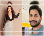 tamannaah bhatia highlights south indian superstars naga and ram charans respectful treatment of co actresses.jpg from telugu thamanna xxx sex videosww xxxxxxxxxxxxxxxxxxxxxxvidies comrabhisexraj xcx video oman seal pack tod blood sex bfxx sil pack sex 18age video hindi riyal meil all hero fuck all heroie