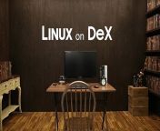 sdc2018 linux on dex thumb728 ff.jpg from on dex